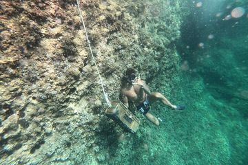 Mallorca: Kayaking, sjøhule, klipphopping og snorkeltur, water-activities, photo 4, sunket skatt