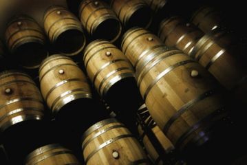 Guided tour of Butxet winery, water-activities, Mallorca, photo 1