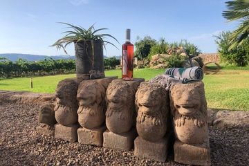 Guided tour of Butxet winery, water-activities, Mallorca, photo 2