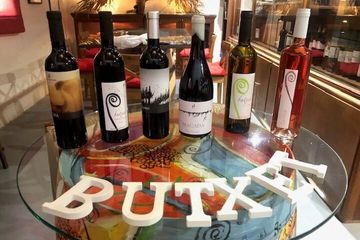 Guided tour of Butxet winery, water-activities, Mallorca, photo 3