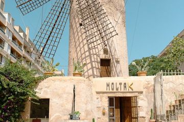 Spanish Cooking Experience in Mallorca, food-drink, Palma de Mallorca · Palma, photo 1, Easy to find: right in the heart of Palma de Mallorca