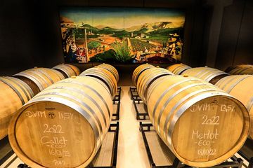 Scopri l'ambizione di creare i migliori vini di Maiorca e oltre, food-drink, Mallorca, photo 3