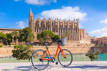 Explore Palma in 60 minutes with a Local, water-activities, Palma de Mallorca · Palma, photo 4