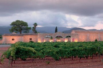Wonders and Wines of Mallorca Private Experience, water-activities, Son Ametller · Valldemossa, Mallorca, photo 3