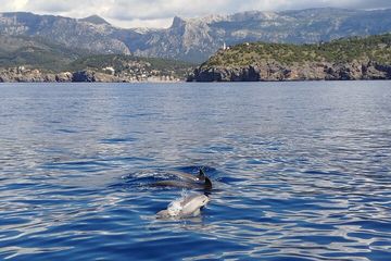 Half day private boat trip in Port de Soller, water-activities, Sa Calobra · Sóller, Mallorca, photo 3, Sail La Vie - Your charter in Port de Sóller