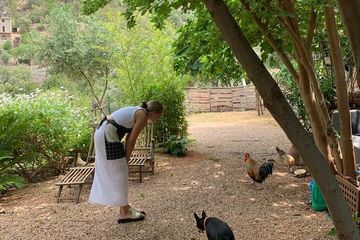 Paella Day Cooking Class Savor the Tradition, food-drink, Banyalbufar, Mallorca, photo 2