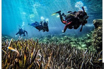 Mallorca PRIVATE Reservation*Scuba dive + photo/video, water-activities, photo 2, Try scuba with us