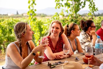 Alcudia Winecellar Tour with Vineyard Visit, Tasting of 5 Wines, water-activities, Alcúdia, Mallorca, photo 1