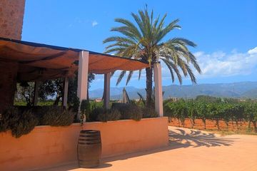 Mallorca Wine Tour Taste Local Wines in Santa Maria, water-activities, Binissalem, Mallorca, photo 2