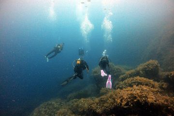 Mallorca : Ontdek duiken vanaf de boot, water-activities, photo 2