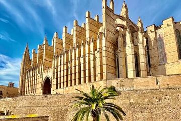 Palma Old Town & Market Walking Tour with Wine, Ham & Cheese, water-activities, Palma, Mallorca, photo 1, The cathedral