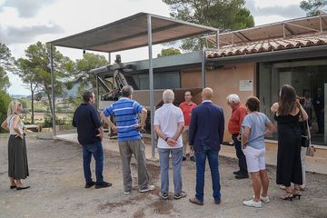 Degustazione di olio d'oliva e vino Treurer, visita all'oliveto e spuntino., water-activities, Mallorca, photo 3, Visita al frantoio