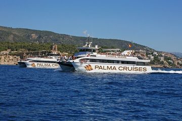 5-Hour Snorkeling in Palma Bay, water-activities, Badia de Palma · Palma, Mallorca, photo 4