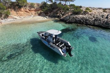 Charter boat tour in Palma Bay: Snorkeling and Paddle Surf, water-activities, Palma de Mallorca · Palma, photo 3