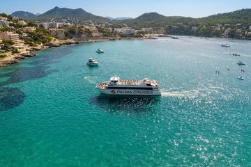 5-Hour Snorkeling in Palma Bay, water-activities, Badia de Palma · Palma, Mallorca, photo 2
