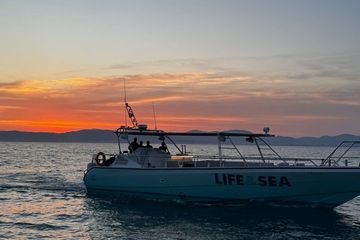 S'Arenal Dolphin Watching Boat Tour, water-activities, Mallorca, photo 3