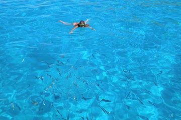 Premium privat seilopplevelse på Mallorca Opptil 12 gjester, water-activities, Palma de Mallorca · Palma, photo 3