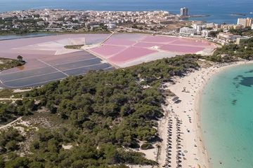 Private Tour Salinas de Es Trenc and Mesquidassa Olive Oil Salt, water-activities, Sant Jordi · Campos, Mallorca, photo 4