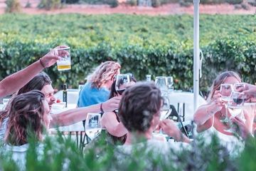 Authentic Family Winery Tour and Tasting in Mallorca, food-drink, Sencelles, Mallorca, photo 3