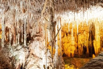 Excursión Familiar Cuevas de Hams y Dinosaurland en Mallorca, water-activities, Sa Marineta · Manacor, Mallorca, photo 3