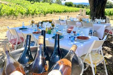 Cata de vinos con tapas y tour en Mallorca, food-drink, photo 1