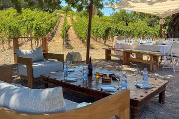 Luxus-Weinverkostungserlebnis bei Can Gelat in Mallorca, food-drink, photo 1