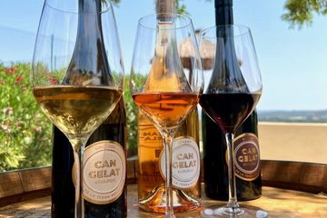 Luxus-Weinverkostungserlebnis bei Can Gelat in Mallorca, food-drink, photo 3