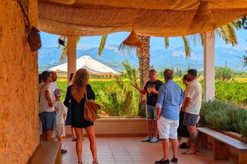 Private Wein- und Kulinarik-Tour ab Palma de Mallorca, water-activities, Palma de Mallorca · Binissalem, photo 1