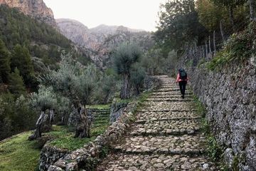 Escursione condivisa nel suggestivo Canyon di Barranc de Biniaraix a Maiorca, water-activities, Biniaraix · Sóller, Mallorca, photo 4