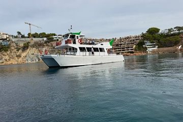 Mallorca Scenic Cruise med snorkling vid Islas Malgrats och mer, water-activities, Camp de Mar · Andratx, Mallorca, photo 3