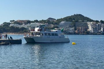 Mallorca Scenic Cruise med snorkling vid Islas Malgrats och mer, water-activities, Camp de Mar · Andratx, Mallorca, photo 4
