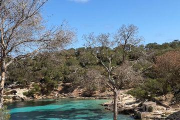 Mallorca: ATV-tur i Magaluf gjennom bukter, utsiktspunkter og klipper, water-activities, Palma de Mallorca · Palma, photo 3