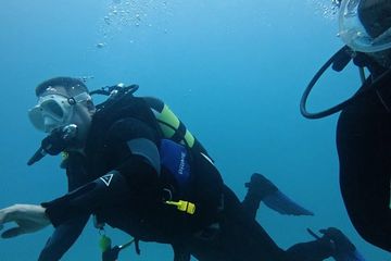 Plongée découverte PADI privée avec 2 plongées et photos, water-activities, Mallorca, photo 4