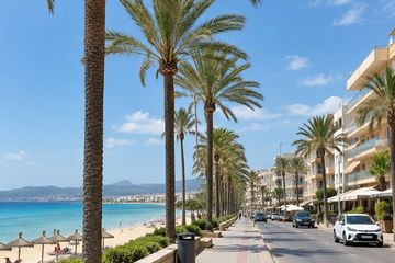 Zelfgeleide Podcast Tour Palma de Mallorca: De 17e Duitse staat, water-activities, Palma de Mallorca · Palma, photo 3