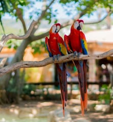Marineland Mallorca, Activities & Sightseeing, Costa d’en Blanes, Mallorca, photo 2