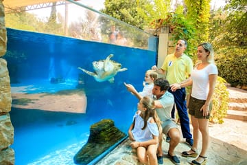 Palma Aquarium, Activities & Sightseeing, Palma de Mallorca, photo 3