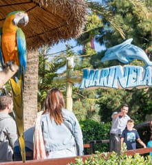 Marineland Mallorca, Activities & Sightseeing, Costa d’en Blanes, Mallorca, photo 1