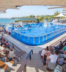Marineland Mallorca, Activities & Sightseeing, Costa d’en Blanes, Mallorca, photo 3