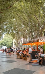 BORN 8, Gastronomy | Foodies, Palma de Mallorca, photo 1, BORN 8 Restaurant Exterior