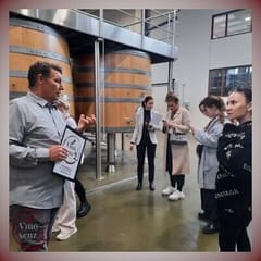 Joe Pommer - Vinosenz, Activities & Sightseeing, Lloseta, Mallorca, photo 2