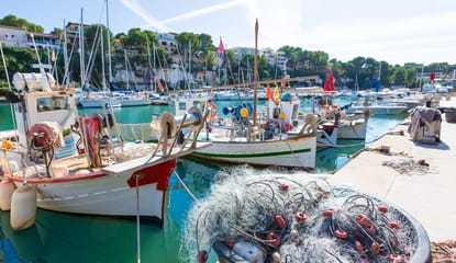 Club Náutico Porto Cristo, Yacht Harbor, Porto Cristo, Mallorca, photo 1