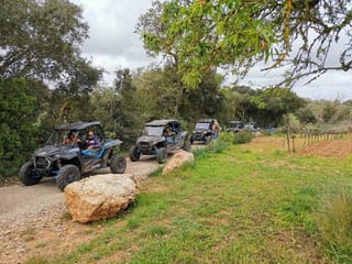 Adventure Tours Mallorca S.L., Activities & Sightseeing, Palma de Mallorca, photo 2