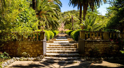 Jardines de Alfabia Mallorca, Activities & Sightseeing, Bunyola, Mallorca, photo 1, A grand stone staircase leading through the lush greenery of Jardines de Alfabia