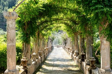 Jardines de Alfabia Mallorca, Activities & Sightseeing, Bunyola, Mallorca, photo 4, Lush gardens and historic architecture at Jardines de Alfabia