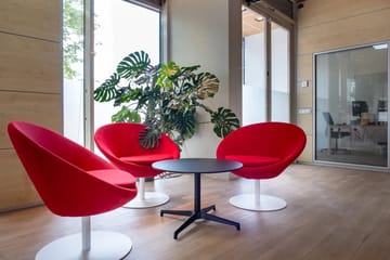 Max Ventures, Services & Business, Palma de Mallorca, photo 4