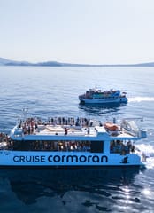 Cruise Cormoran (Cruceros Cormoran), Activities & Sightseeing, El Toro, Mallorca, photo 1