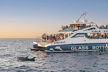 Alcudia Sea Trips, Activities & Sightseeing, Puerto de Alcúdia, Mallorca, photo 4