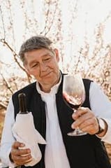Joe Pommer - Vinosenz, Activities & Sightseeing, Lloseta, Mallorca, photo 4
