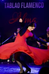 Tablao Flamenco Alma, Activities & Sightseeing, Palma de Mallorca, photo 3