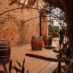 Joe Pommer - Vinosenz, Activities & Sightseeing, Lloseta, Mallorca, photo 3